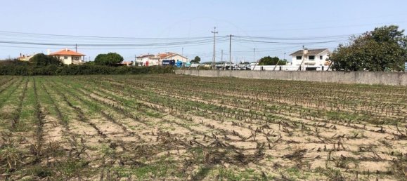 Terreno em Ovar, Portugal 2800 m² N.º 90459 6