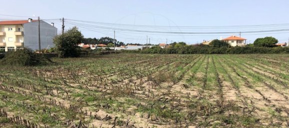 Terreno em Ovar, Portugal 2800 m² N.º 90459 7