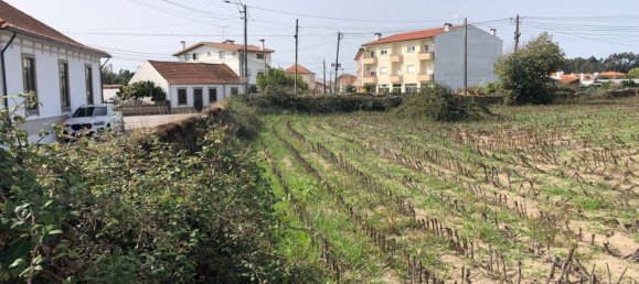 Terreno em Ovar, Portugal 2800 m² N.º 90459 9