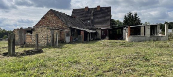 5 rooms House in Wittenberg, Germany No. 273746 4