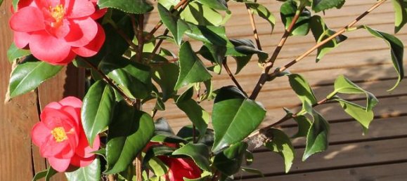 3 Schlafzimmer Haus in Villerest, France, Nr. 270757 11