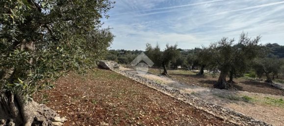 Studio in Monopoli, Italy No. 140081 17