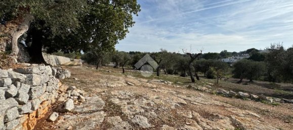 Studio in Monopoli, Italy No. 140081 14