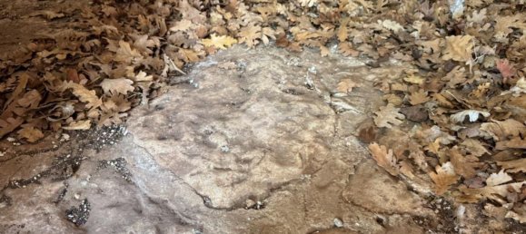 Studio in Monopoli, Italy No. 140081 11