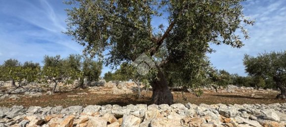 Studio in Monopoli, Italy No. 140081 12