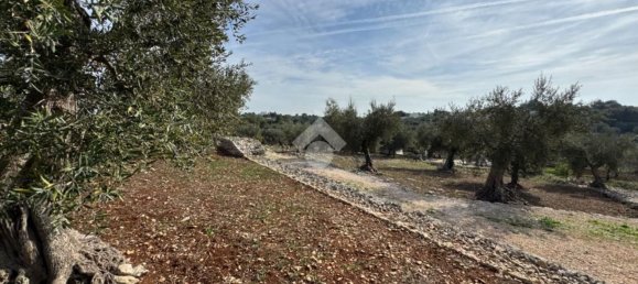 Studio in Monopoli, Italy No. 140081 15