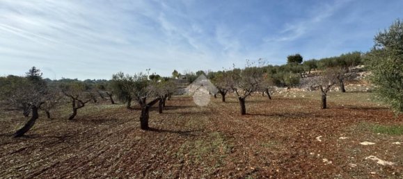 Studio in Monopoli, Italy No. 140081 18