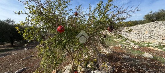 Studio in Monopoli, Italy No. 140081 20