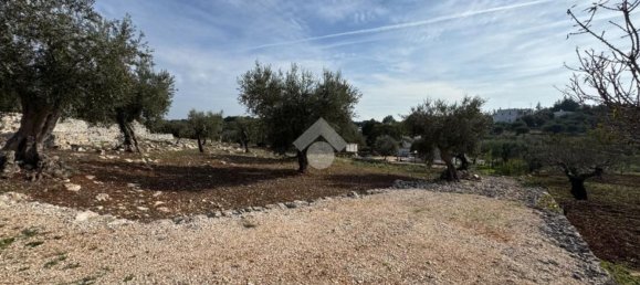 Studio in Monopoli, Italy No. 140081 16