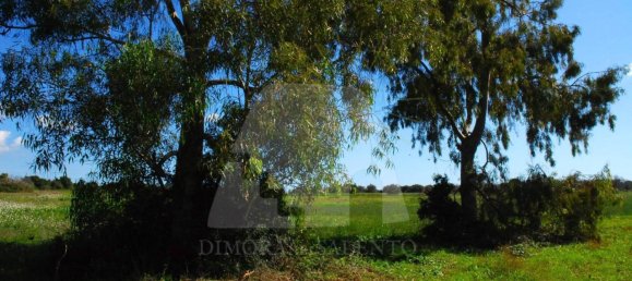 5 rooms House in Alessano, Italy No. 172907 10