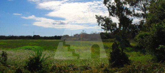 5 rooms House in Alessano, Italy No. 172907 11