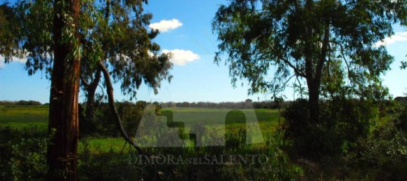 5 rooms House in Alessano, Italy No. 172907 12