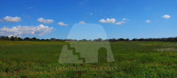 5 rooms House in Alessano, Italy No. 172907 3