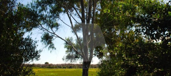 5 rooms House in Alessano, Italy No. 172907 2