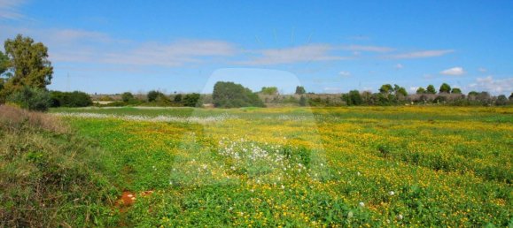 5 rooms House in Alessano, Italy No. 172907 13