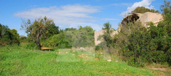 5 rooms House in Alessano, Italy No. 172907 7