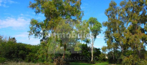 5 rooms House in Alessano, Italy No. 172907 9