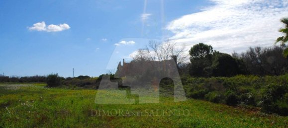 5 rooms House in Alessano, Italy No. 172907 20