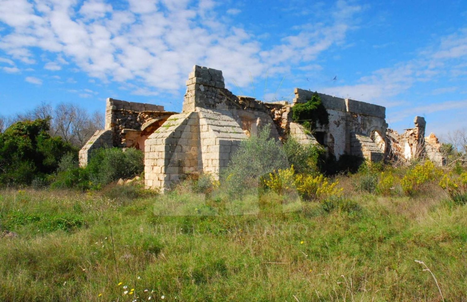 5 rooms House in Alessano, Italy No. 172907