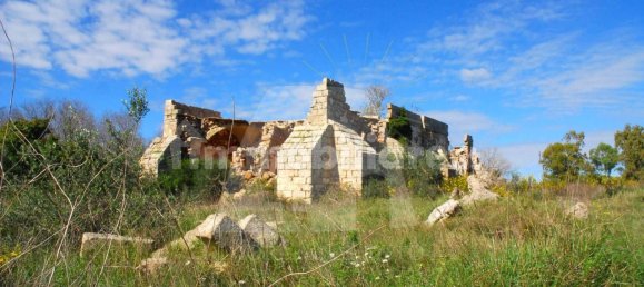 5 rooms House in Alessano, Italy No. 172907 17