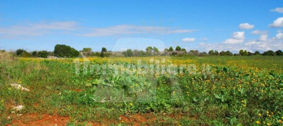 5 rooms House in Alessano, Italy No. 172907 4