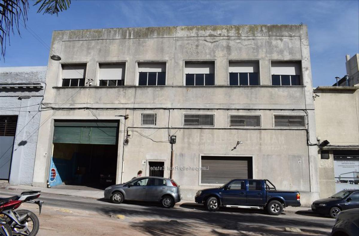 Studio in Montevideo, Uruguay No. 3039