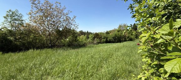  Land in St. Andra-Wordern, Austria No. 244003 12