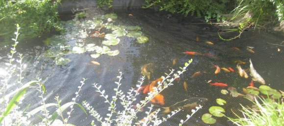 Moradia em banda de 8 divisões em Gottingen, Germany N.º 181994 15