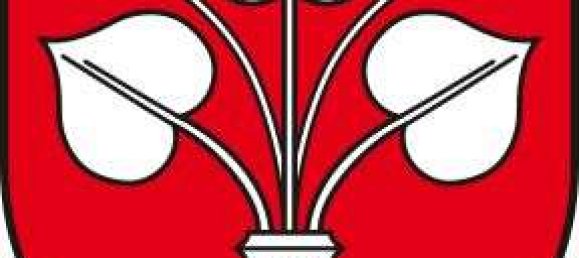 6200m² Land in Borde, Germany No. 366984 7