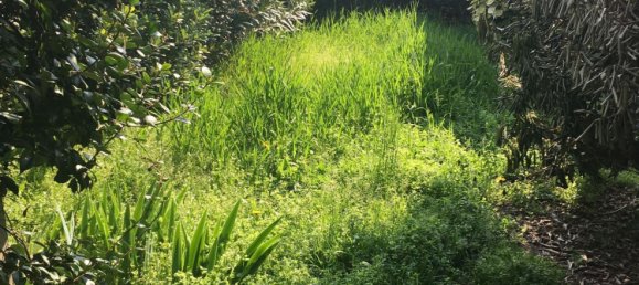 4 rooms House in Mantua, Italy No. 244555 34