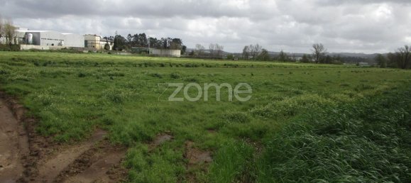 Земельный участок 2700м² в Вила Нова ди Фамаликан, Португалия № 32082 4