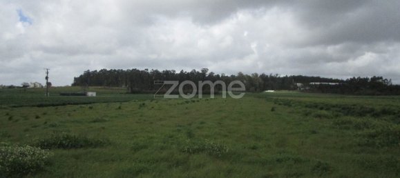 Земельный участок 2700м² в Вила Нова ди Фамаликан, Португалия № 32082 5