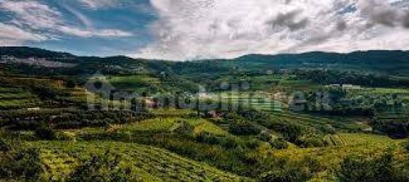 4 bedrooms Villa in Negrar, Italy No. 310403 9