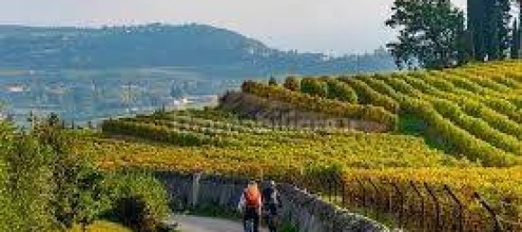 4 bedrooms Villa in Negrar, Italy No. 310403 8