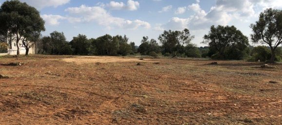  قطعة أرض في Quarteira, Portugal 6467متر مربع رقم 146669 22