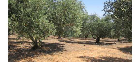 23360m² Land in Santarem, Portugal No. 82835 3