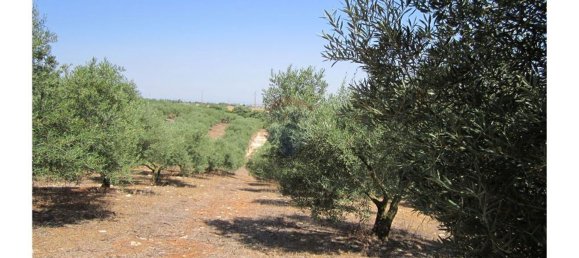 23360m² Land in Santarem, Portugal No. 82835 19