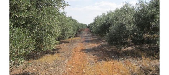 23360m² Land in Santarem, Portugal No. 82835 34