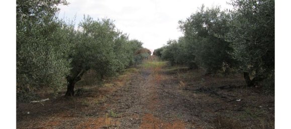 23360m² Land in Santarem, Portugal No. 82835 38