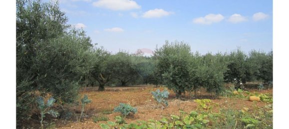 23360m² Land in Santarem, Portugal No. 82835 41