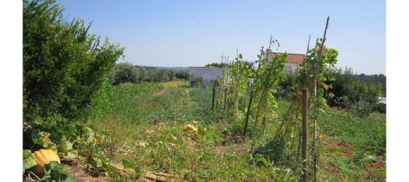 23360m² Land in Santarem, Portugal No. 82835 5