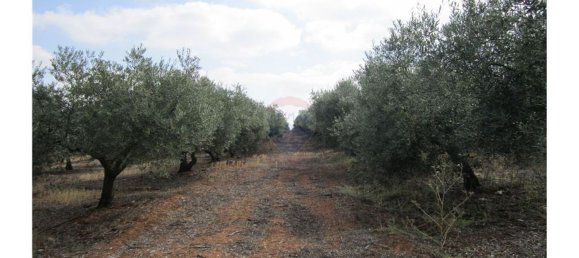 23360m² Land in Santarem, Portugal No. 82835 29