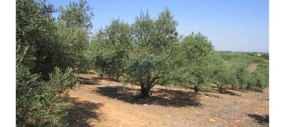 23360m² Land in Santarem, Portugal No. 82835 11