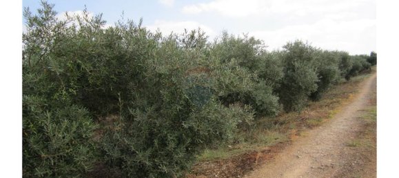 23360m² Land in Santarem, Portugal No. 82835 46