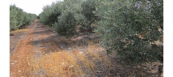 23360m² Land in Santarem, Portugal No. 82835 44