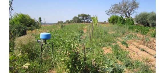 23360m² Land in Santarem, Portugal No. 82835 9