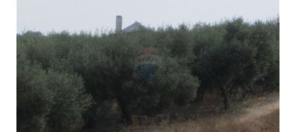 23360m² Land in Santarem, Portugal No. 82835 36