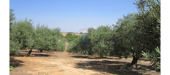 23360m² Land in Santarem, Portugal No. 82835 14