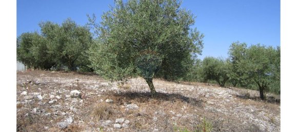 23360m² Land in Santarem, Portugal No. 82835 48