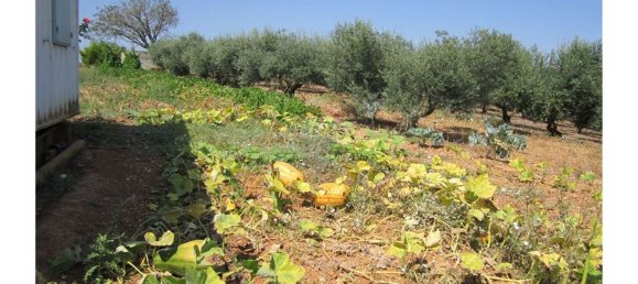 23360m² Land in Santarem, Portugal No. 82835 21